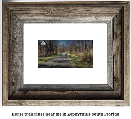 horse trail rides near me in Zephyrhills South, Florida